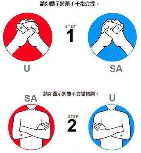 以左脑(计算性,还是,主理,v还是)性感直觉(主语言,右脑,创造,想像)丝嫂子的感性腿图片