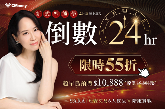 倒數24hr🔥即將漲價❗❗新式型態學(當沖篇)永久課 55