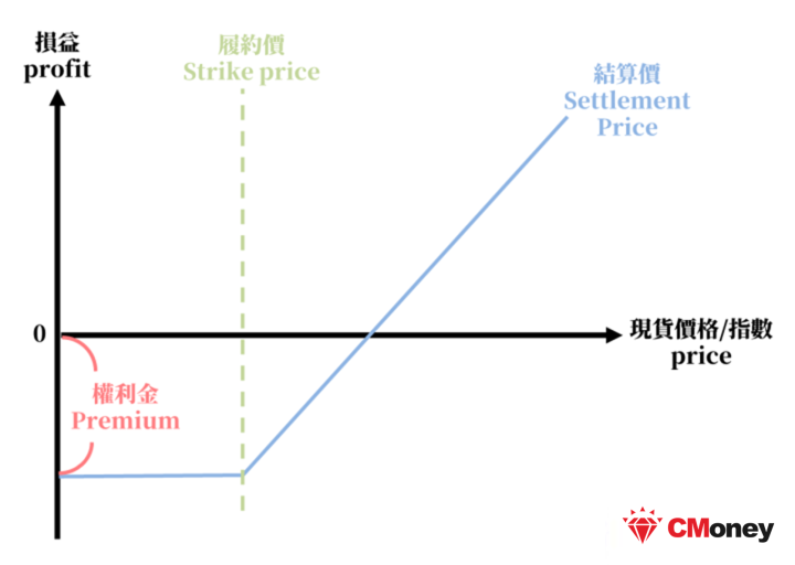 選擇權損益圖中的價格與權利金