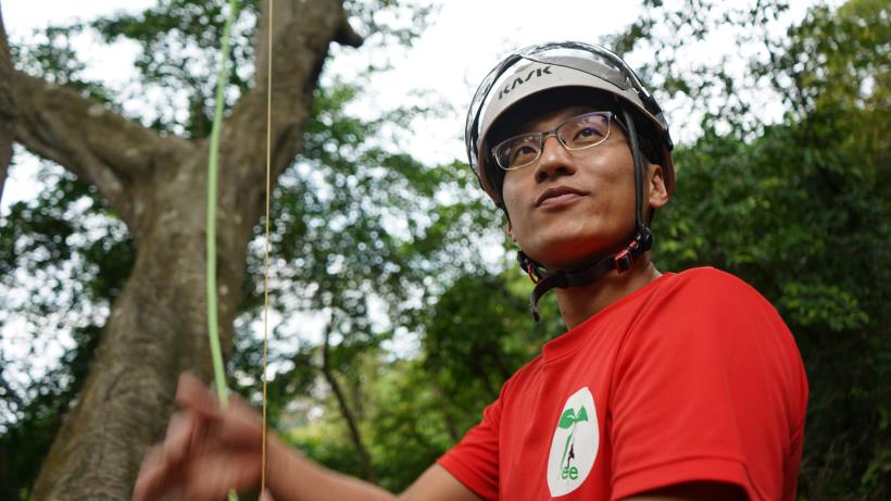 這個職業全台僅有 10人，他是第一位！化身真人版「泰山」，爬上樹 成為樹的醫生！