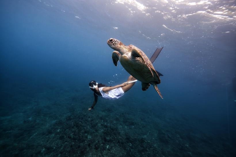 在瀕死經驗中目睹「海底垃圾島」，逃過一劫的她 卻從此愛上大海，休學也要守護環境 更成為小琉球島主！