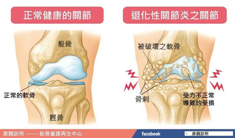 隨意窩滙來新檔三
