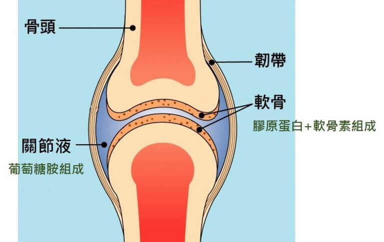隨意窩滙來新檔三