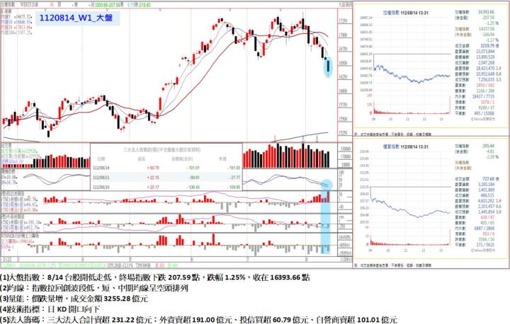 8/14台股開低走低,終場指數下跌207.59點,指數拉回創波段低,短、中期均線呈空頭排列,收在16393.66點