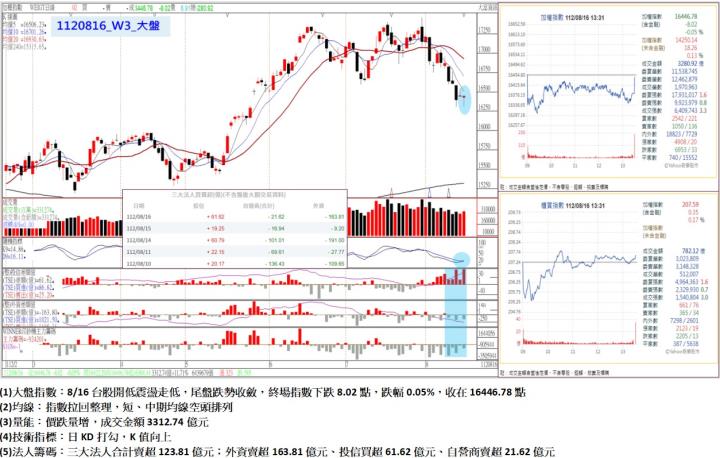 8/16台股開低震盪走低，尾盤跌勢收斂，終場指數下跌8.02點，指數拉回整理，短、中期均線空頭排列，收在16446.78點