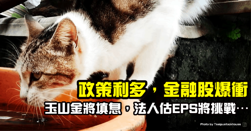 政策利多金融股爆衝，玉山金(2884)幾近填息，法人估 2019 EPS 有望挑戰…