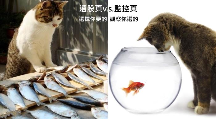 8/27 初學者進入股市 只要看20日均線 簡單操作真容易！