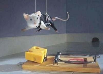 投資=投機? 投機=人生? 關於投機你該知道的28件事!