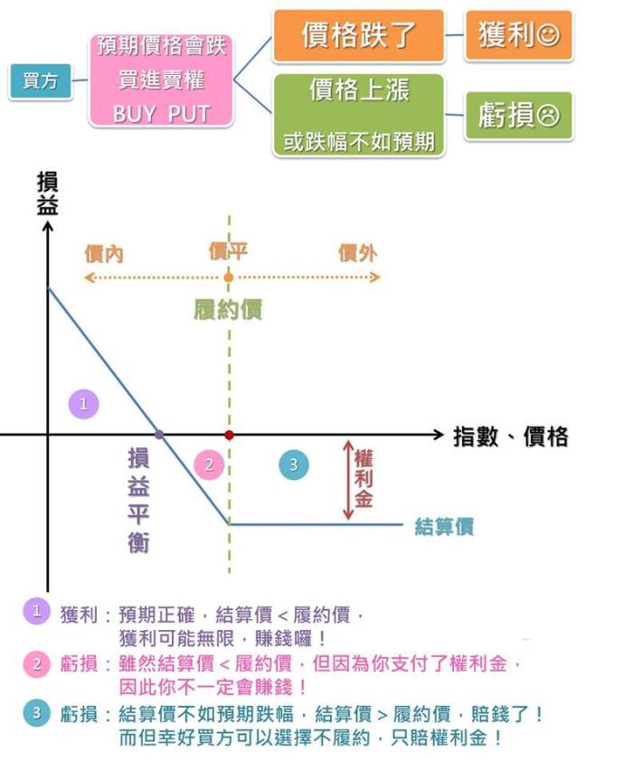 什麼是單一部位基本型？