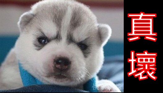 五大警訊 慎防大盤由漲轉跌