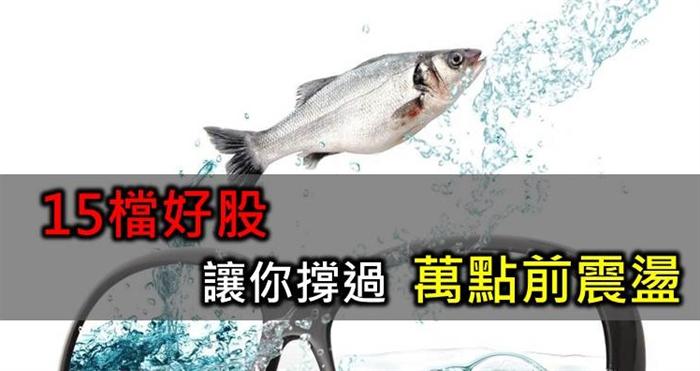 15檔好股，讓你撐過萬點前震盪