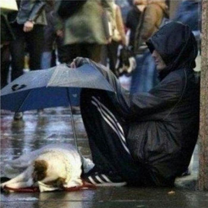 10張讓你感動不已的人生故事...看完我終於懂得了愛！