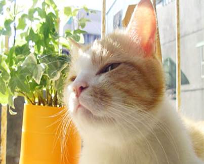 這十三種思維方式，讓你的人生一帆風順