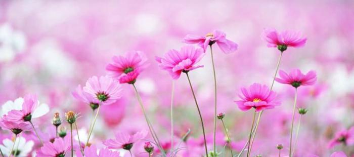 史上最科學的養生時間表！