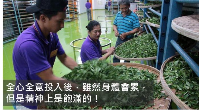 「一開始目標在哪 就堅持到底，不要把時間浪費在猶豫不決上！」76年次坪林茶農白俊育的故事