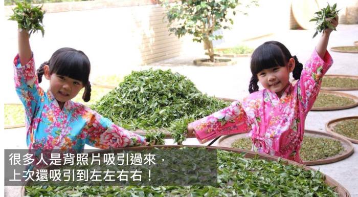 「一開始目標在哪 就堅持到底，不要把時間浪費在猶豫不決上！」76年次坪林茶農白俊育的故事