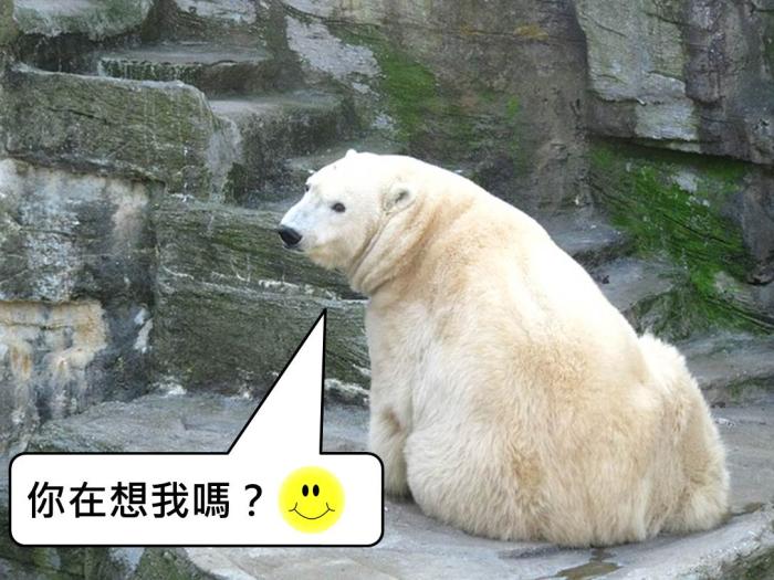 輕鬆駕馭意志力 不被大腦所蒙蔽