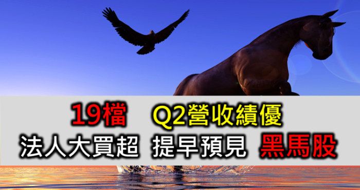 19檔 Q2營收績優  法人大買超 尋找你的下一檔黑馬股     fb圖片和文案