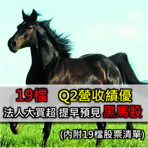 19檔 Q2營收績優  法人大買超 尋找你的下一檔黑馬股  
