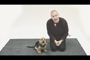 7/10年輕人，你想成為愛因斯坦還是訓練有素的狗? 