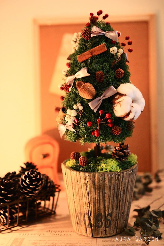 【手作冬日 天然苔聖誕樹】小空間也能 布置聖誕氣氛！