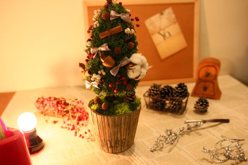 【手作冬日 天然苔聖誕樹】小空間也能 布置聖誕氣氛！
