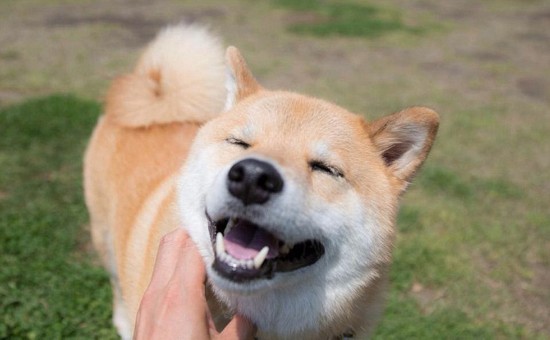 我想賭一把！碩士畢業的她 竟然笑著說 :  