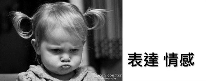 跟TED學表達，讓世界記住你：用更有說服力的方式行銷你和你的構想