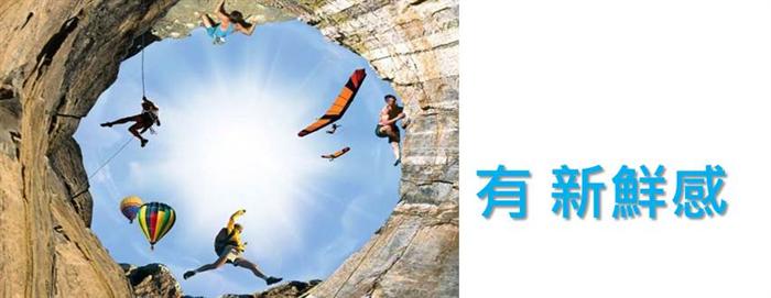 跟TED學表達，讓世界記住你：用更有說服力的方式行銷你和你的構想