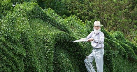 修剪灌木的爺爺竟是公司老闆?! 值得您收藏一輩子的故事