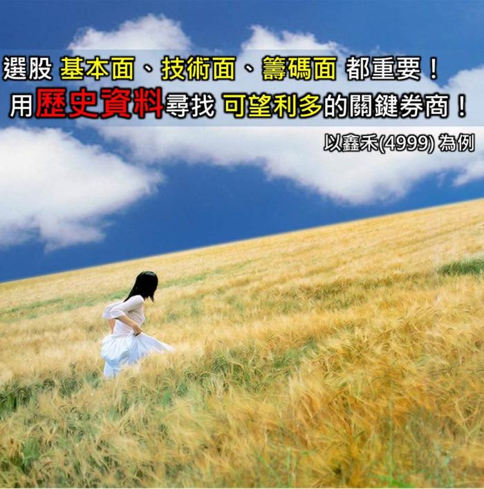 選股要面面俱到！仔細觀察關鍵券商歷史買賣紀錄，可以找到可望利多的股票！以鑫禾(4999)為例