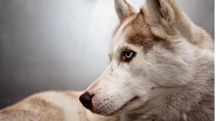 什麼情況需要使用「分點明細」?讓我把元大在華亞科(3474)的獲利完全呈現給你!