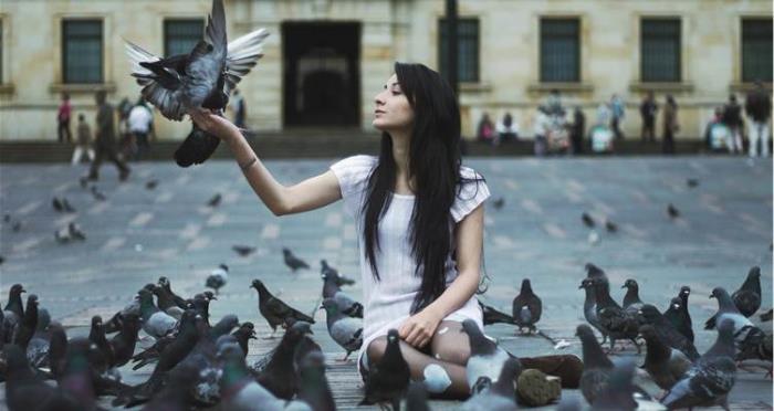 籌碼K線小工具系列(二) 截圖、追蹤、個股資訊、筆記