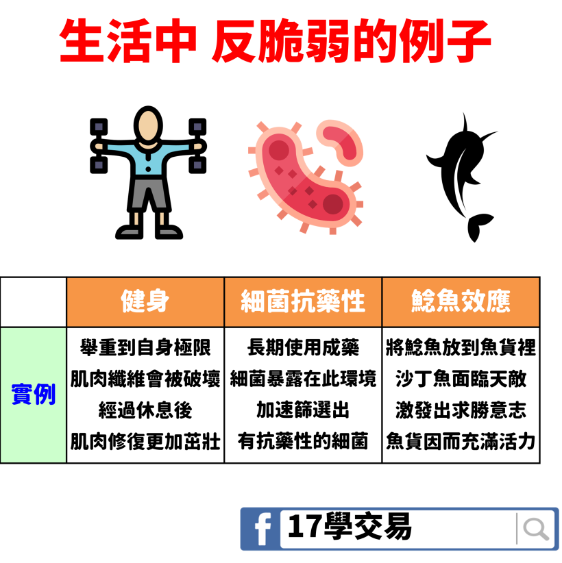 過去 10 年當 _ _ 指標背離，黑天鵝就起飛！搞懂 2 大「反脆弱」策略，不僅不賠還能賺錢...