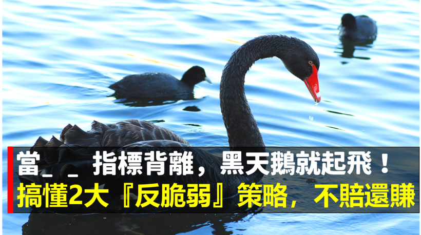 過去 10 年當 _ _ 指標背離，黑天鵝就起飛！搞懂 2 大「反脆弱」策略，不僅不賠還能賺錢...