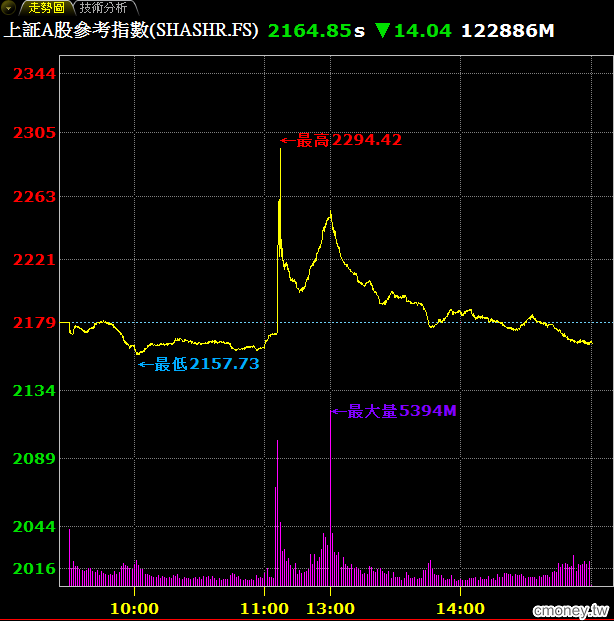 笨瑟王