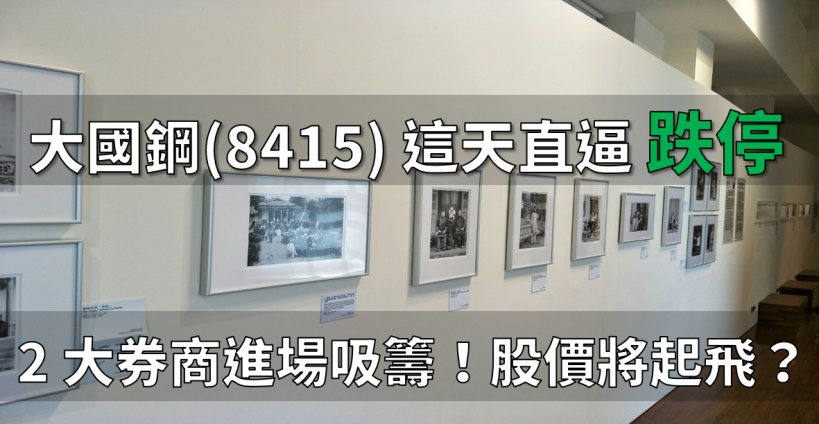 大國鋼(8415) 這天直逼跌停，2 大券商竟搜刮市場二成籌碼！股價將再次起飛？