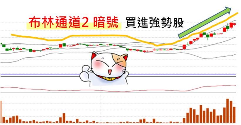 從 1600 檔台股中釣出