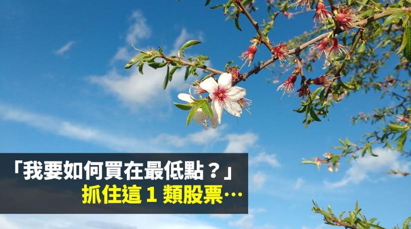 「我要如何買在最低點？」：鎖定「這 1 類」股票，讓你在股市提早佈局！