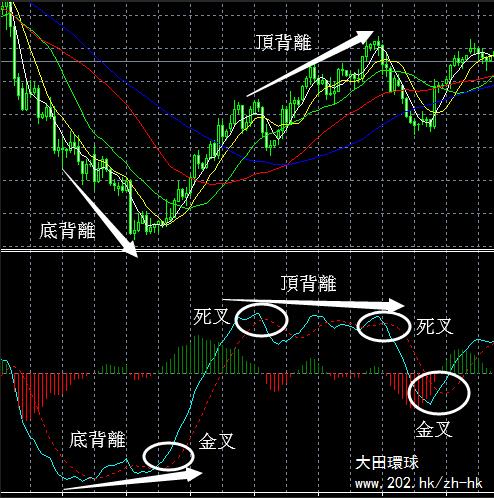 MACD教學，炒黃金盈利必備指標！