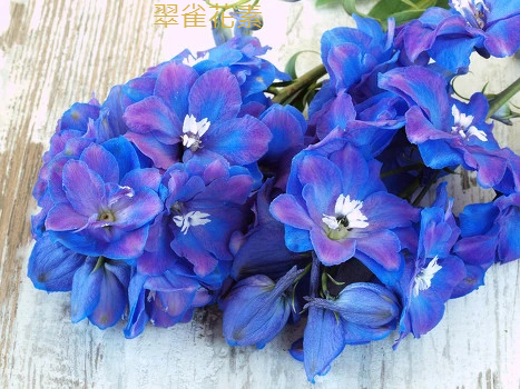 青素含量之王,全是天然的抗氧化劑