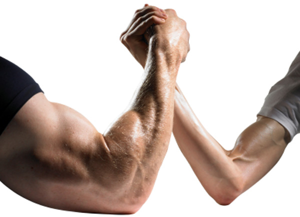 掌握千張大戶的動向，找出籌碼集中股，搭上主力順風車！