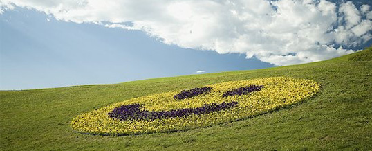 一家公司的好壞，老闆和員工最知道！觀察內部人持股讓我提早掌握股價的動向！(內附4檔股票清單)