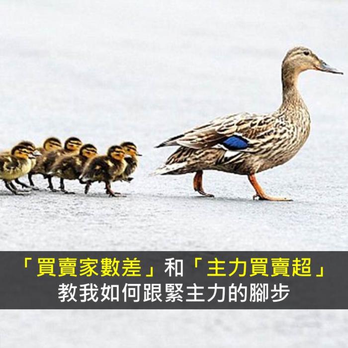 「買賣家數差」與「主力買賣超」讓我跟緊主力的腳步