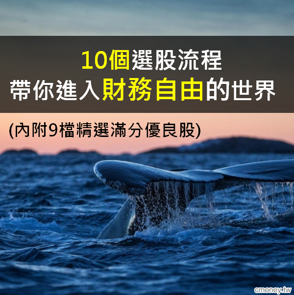 10個選股流程  帶你進入財務自由的世界 (內附9檔精選滿分優良股)