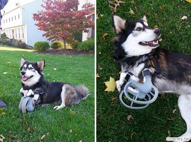 這隻狗狗本來要被送去安樂死，是最新科技發明改變他的命運.....