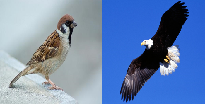 自己的財富自己理 累積財富的3個關鍵 