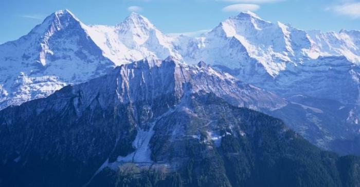 13檔 季報搶先公布優質股 點起多頭火種 反攻9000點 