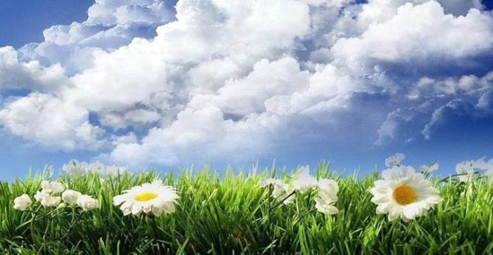 公佈最新22檔營收春風股(內附完整股票清單)