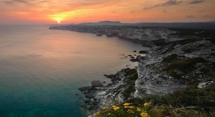 原來不務正業也能大賺錢，22 檔業外投資成功股